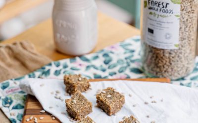 TOASTED SUNFLOWER SEEDS BITES